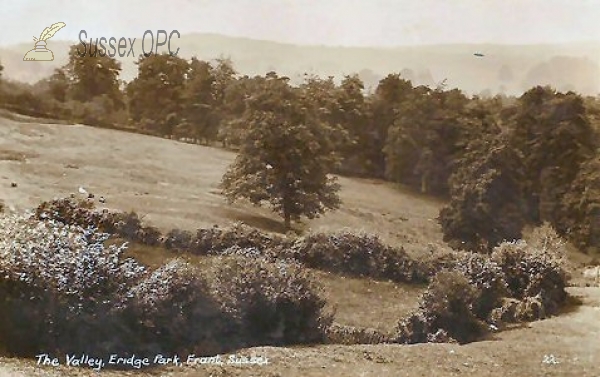 Image of Eridge - Eridge Park, The Valley
