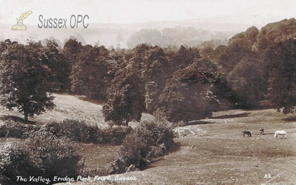 Image of Eridge - Eridge Park, The Valley