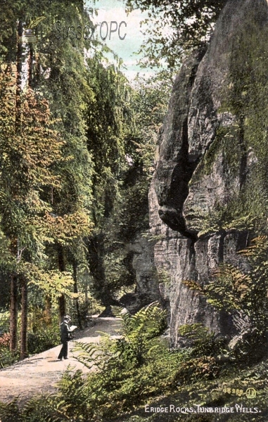 Image of Eridge - Rocks