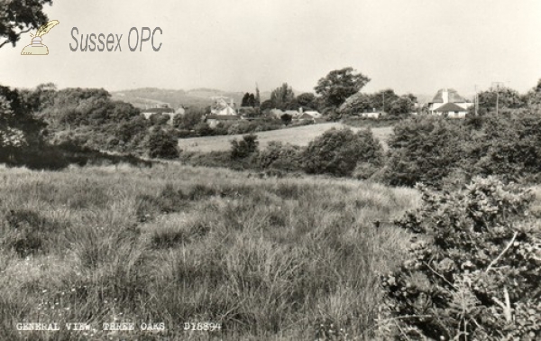 Image of Three Oaks - General view
