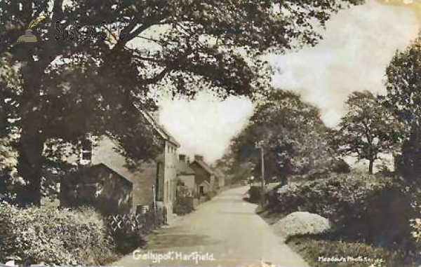 Image of Hartfield - Gallipot