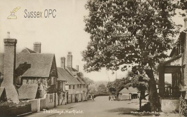 Image of Hartfield - The Village