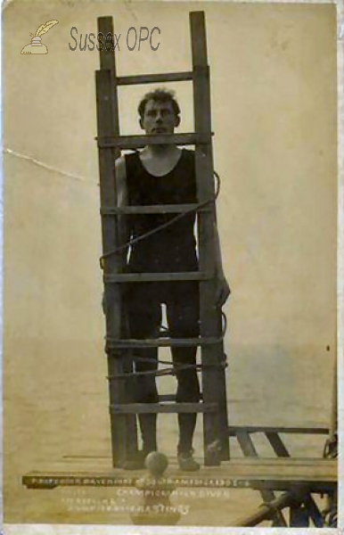 Image of Hastings - Champion Diver
