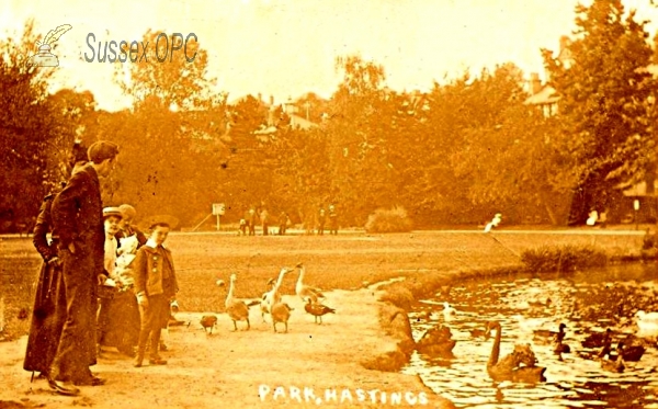 Image of Hastings - Feeding the ducks in the Park