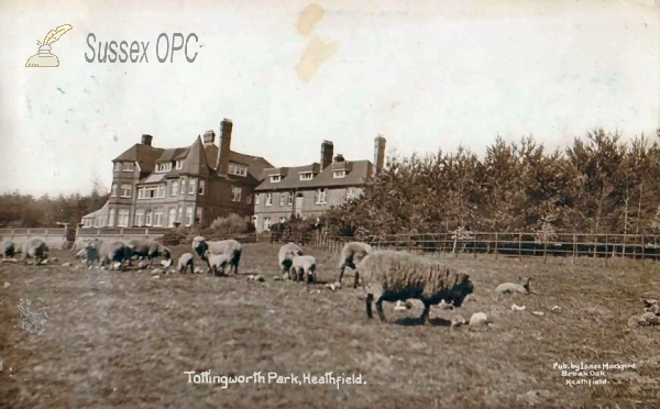 Image of Broad Oak - Tottingworth Park