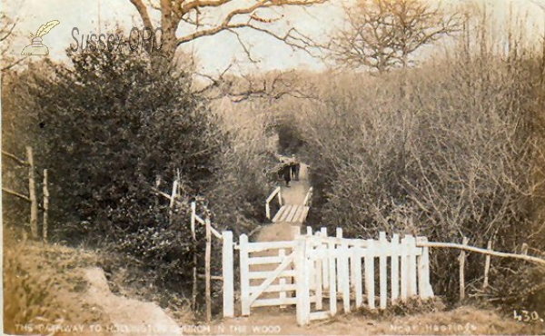 Image of Hollington - Path to Church