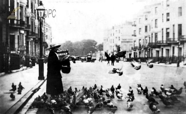 Image of Hove - Brunswick Square (Pigeons)