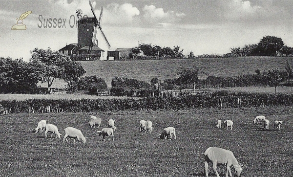 Image of Icklesham - The Windmill & Meadows