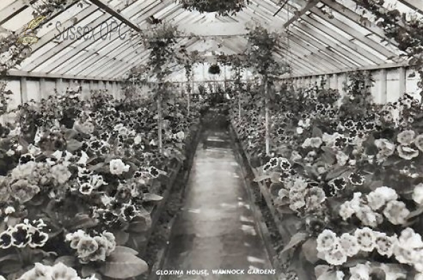 Image of Wannock - Wannock Gardens, Gloxina House