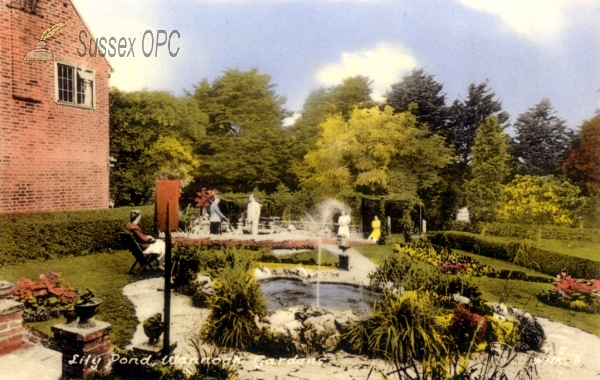 Image of Wannock - Wannock Gardens, Lily Pond