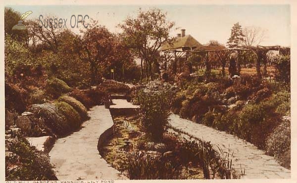 Image of Wannock - Old Mill Gardens, Lily Pond
