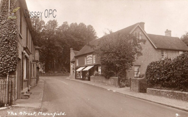 Image of Maresfield - The Street