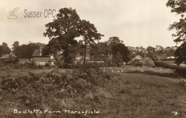 Image of Maresfield - Budletts Farm