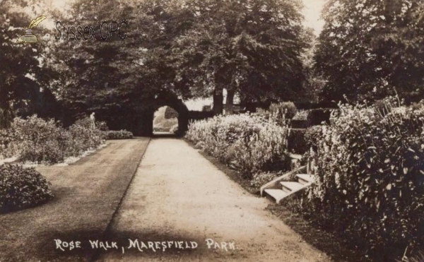 Image of Maresfield - Maresfield Park (Rose Walk)