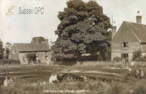 Image of Newick - Village Pond