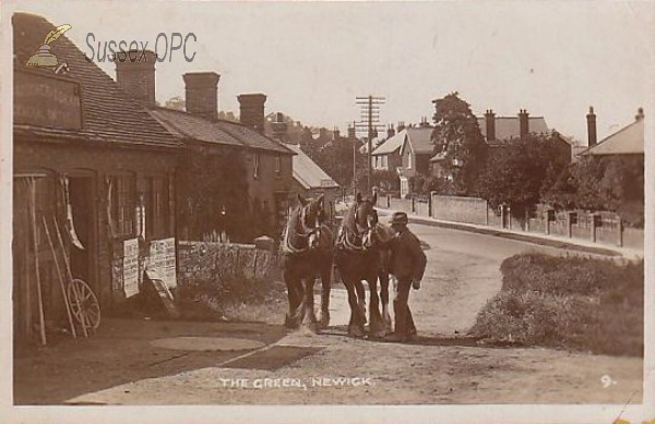 Image of Newick - The Green