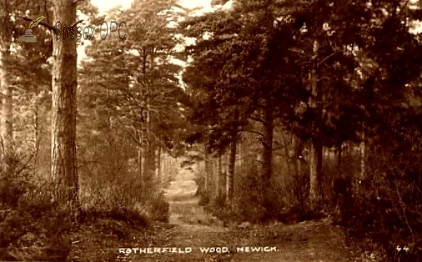Image of Newick - Rotherfield Wood