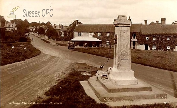 Image of Newick - Village Pump & Green