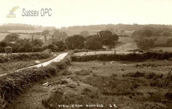 Image of Ninfield - View from Ninfield (Rabbits)