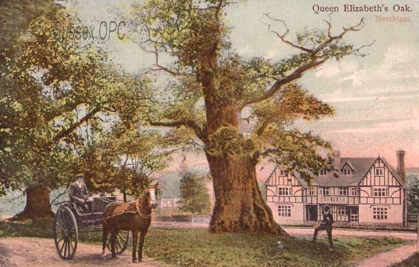 Northiam - Queen Elizabeth's Oak