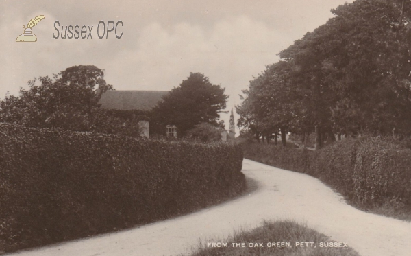 Image of Pett - View from the Oak Green