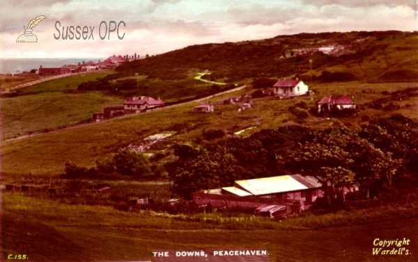 Image of Peacehaven - The Downs