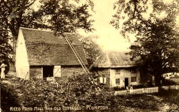 Image of Plumpton - Reed Pond Mill & Old Cottages