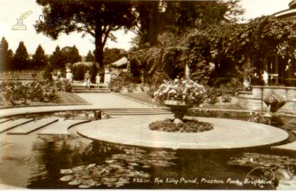 Image of Preston - Preston Park Lily Pond