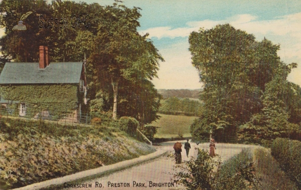 Image of Preston - Preston Park, Corkscrew Road