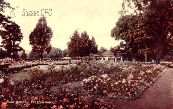 Image of Preston - Preston Park, Rose Garden