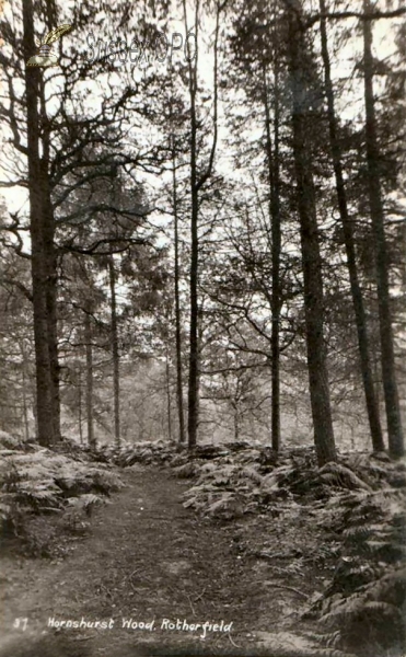 Image of Rotherfield - Hornshurst Wood