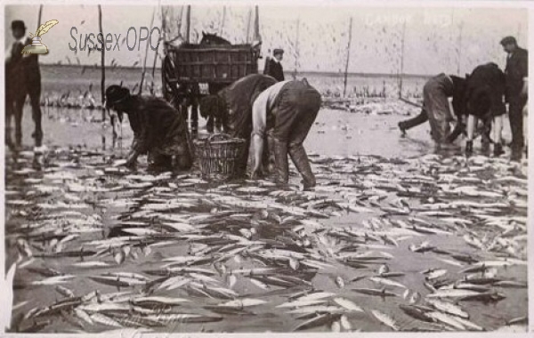Image of Camber - Keddlenet Fishing