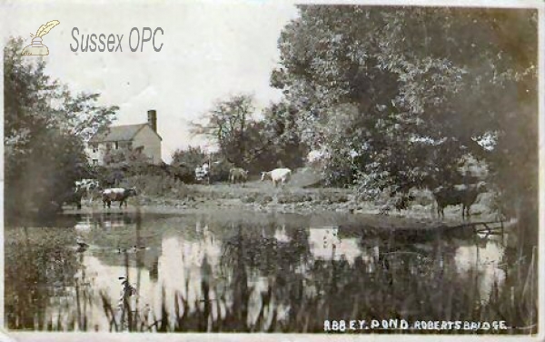 Robertsbridge - Abbey Pond