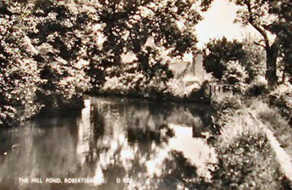 Image of Robertsbridge - Mill Pond
