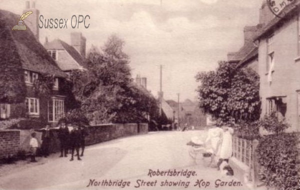 Image of Robertsbridge - Northbridge Street (Hop Garden)