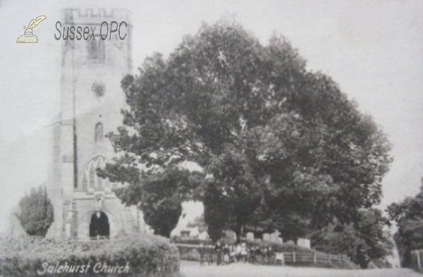 Image of Salehurst - St Mary's Church