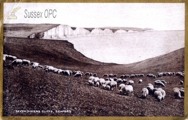 Image of Seaford - The Seven Sisters