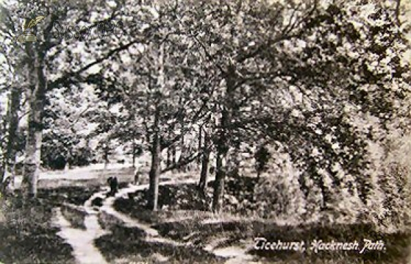 Image of Ticehurst - Hacknesh Path