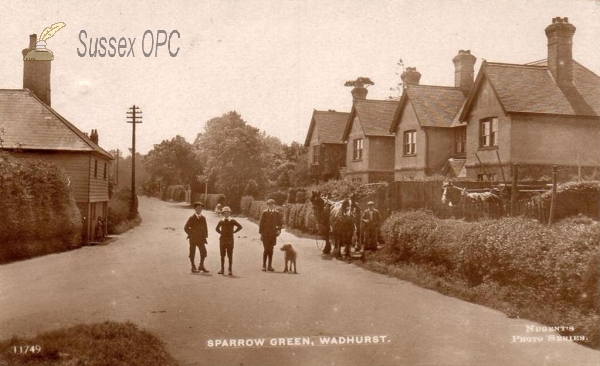 Image of Wadhurst - Sparrow Green