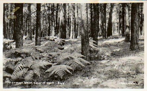 Image of Cross in Hand - Isenhurst Woods