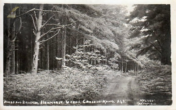 Cross in Hand - Isenhurst Woods, Pines & Bracken