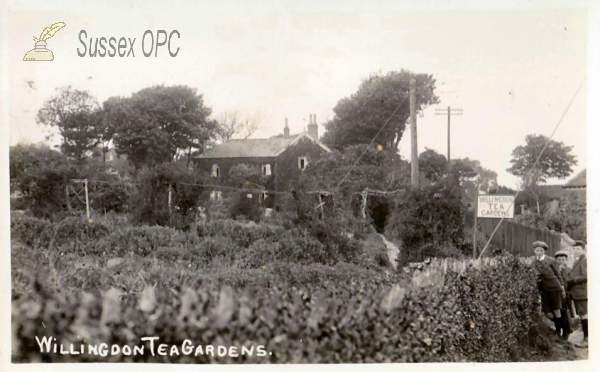 Image of Willingdon - Tea Gardens