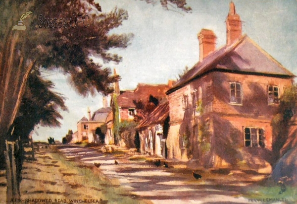 Image of Winchelsea - Fir Shadowed Road
