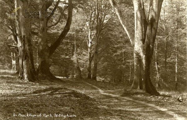 Image of Withyham - Buckhurst Park