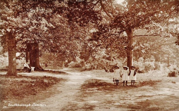 Image of Southborough - Common