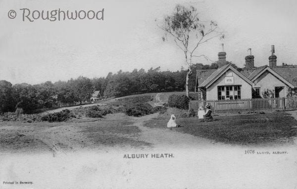 Image of Albury - Albury Heath