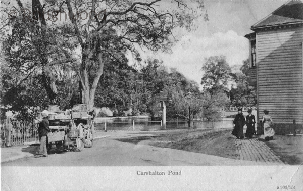 Image of Carshalton - Pond