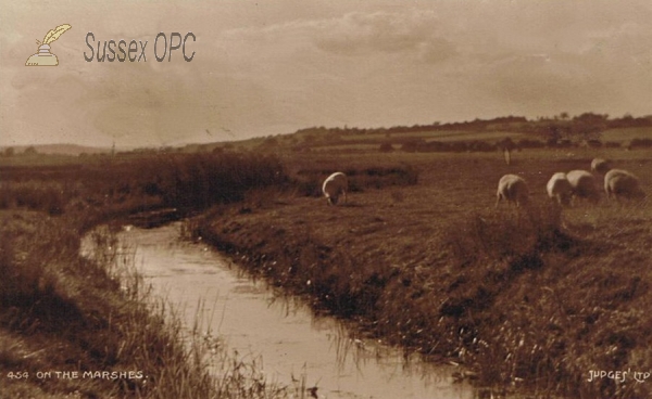 Image of Romney Marsh - Sheep