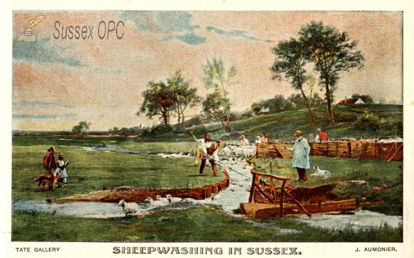 Image of Sheep Washing in Sussex