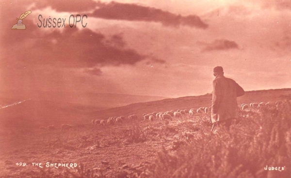 Image of The Shepherd